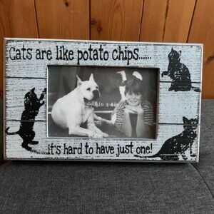 Cats are like potato chips.... it's hard to have just one!